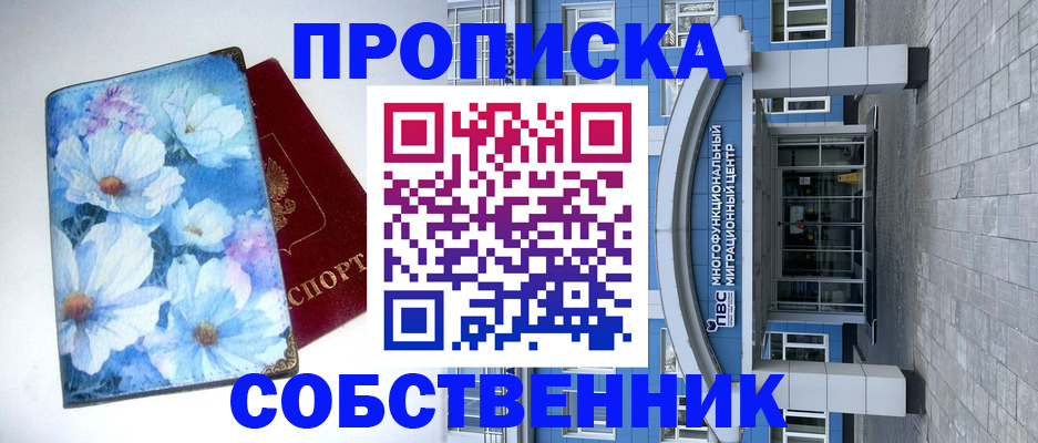 прописка 2025 в Судогде